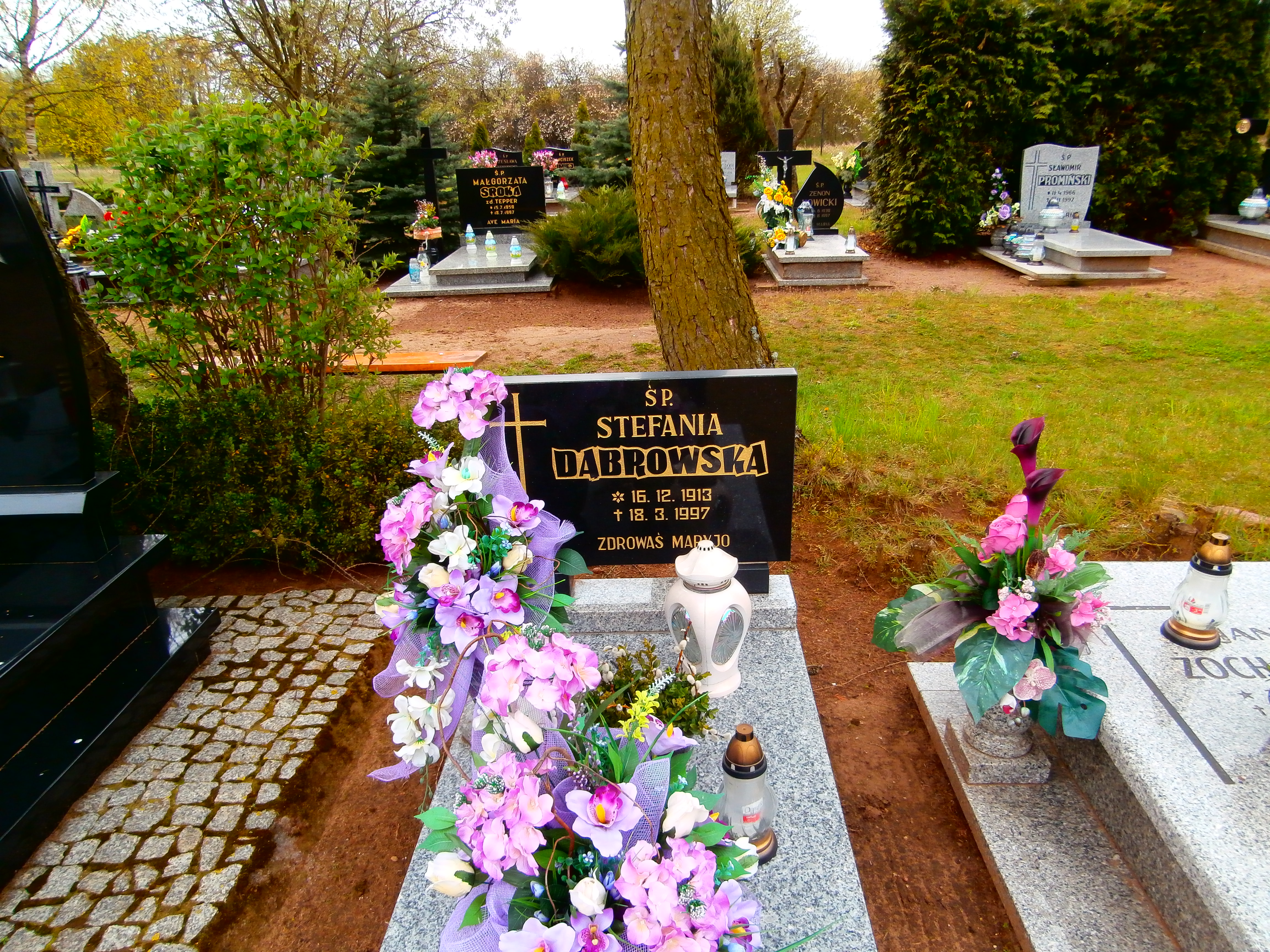 Grób Stefania Dąbrowska